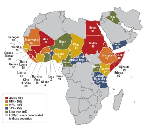 Percentage of girls and women aged 15 to 49 years who have undergone FGM, by country (Unicef, 2013)