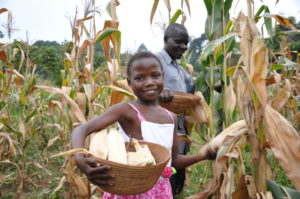 Around the world, one in nine people do not have enough food to eat. Learn how people are working toward successfully feeding the future.