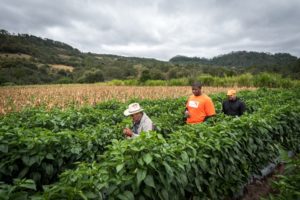 NFL player encourages advocates to take action and to urge Congress to pass and send the Global Food Security Act to the President’s desk.