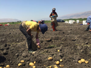 On this World Refugee Day, we must protect education for all refugee children. Learn why half of Syrian refugee children are out of school.