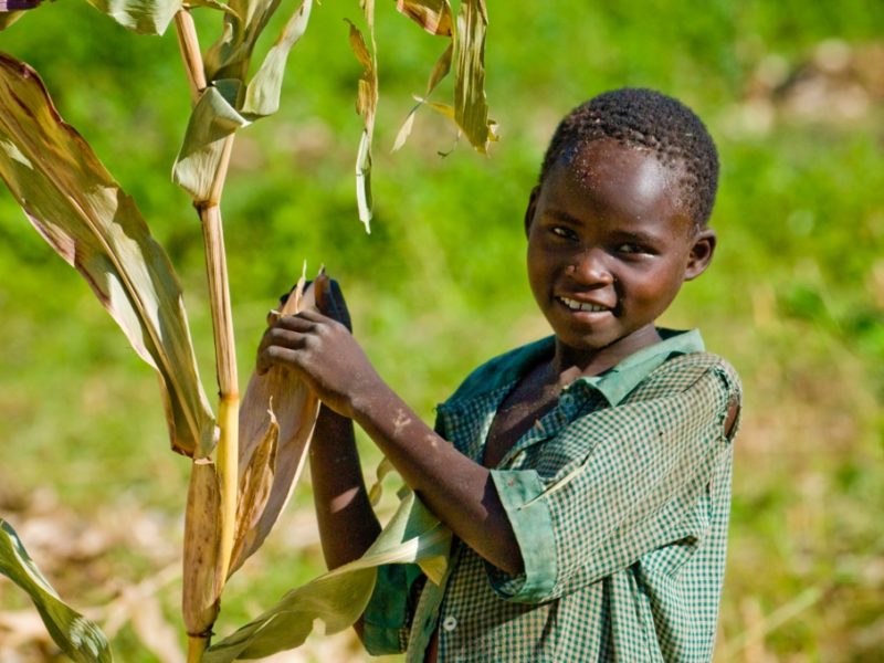 An Update on the Foreign Assistance Budget – Congress Listened!