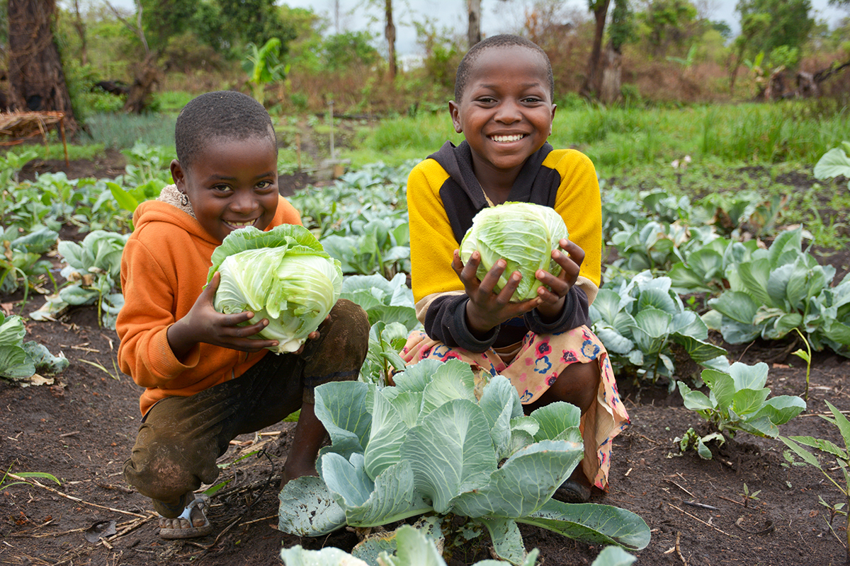 Thank you! Congress just passed the Global Food Security Act!