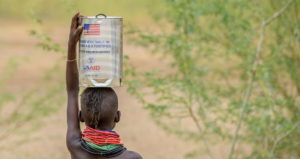 foreign aid in action