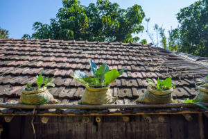 Rooftop farming technique