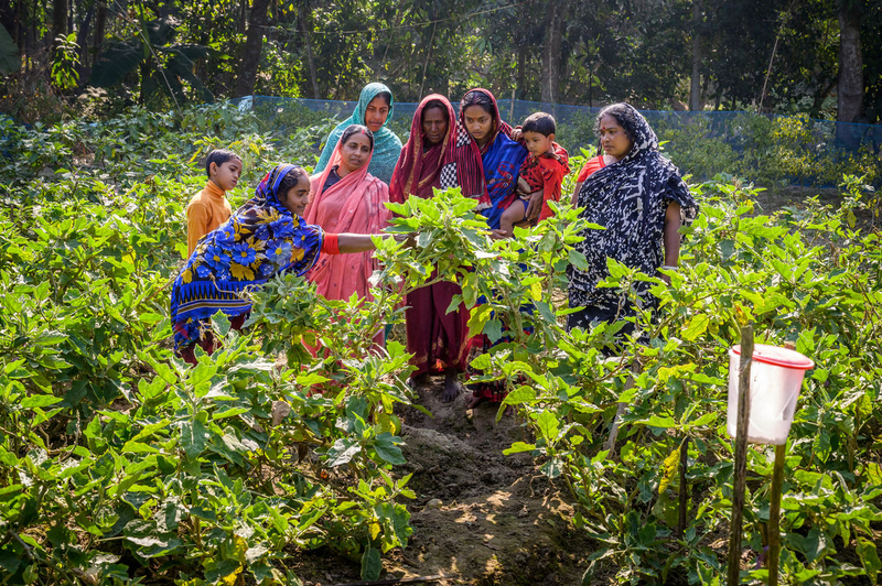 Farmers in Bangladesh