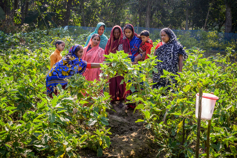 USAID and World Vision helped Sobita's farm.