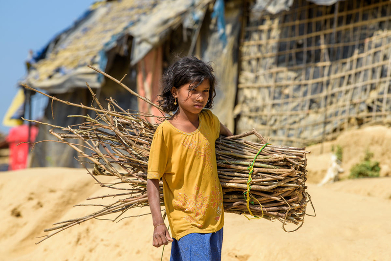 Rohingya refugee girl carries wood from outside the camp